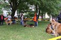 Nachzuchttreffen 08_08 028